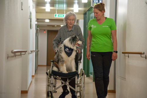 Haus St. Otmar - Alters und Pflegeheim:  Der Social Dog lässt sich chauffieren.