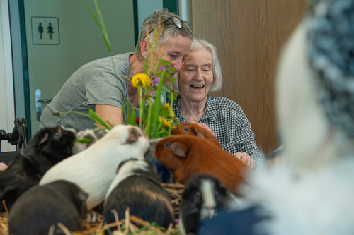 Haus St. Otmar - Alters und Pflegeheim:  viel Betrieb und Spass mit Kleintieren