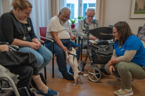 Haus St. Otmar - Alters und Pflegeheim:  Social Dog im Einsatz
